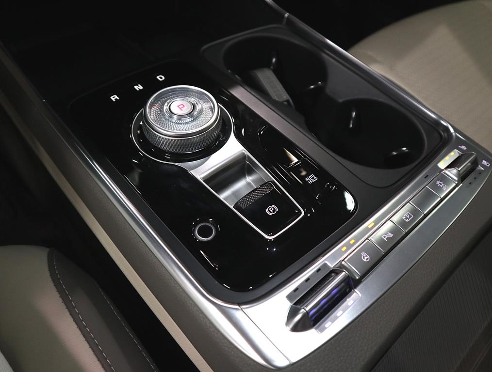 KIA Carnival - Vista 12