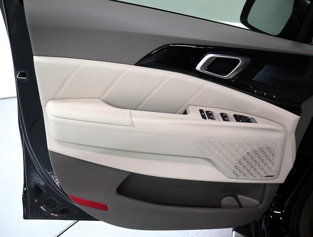 KIA Carnival - Vista 8