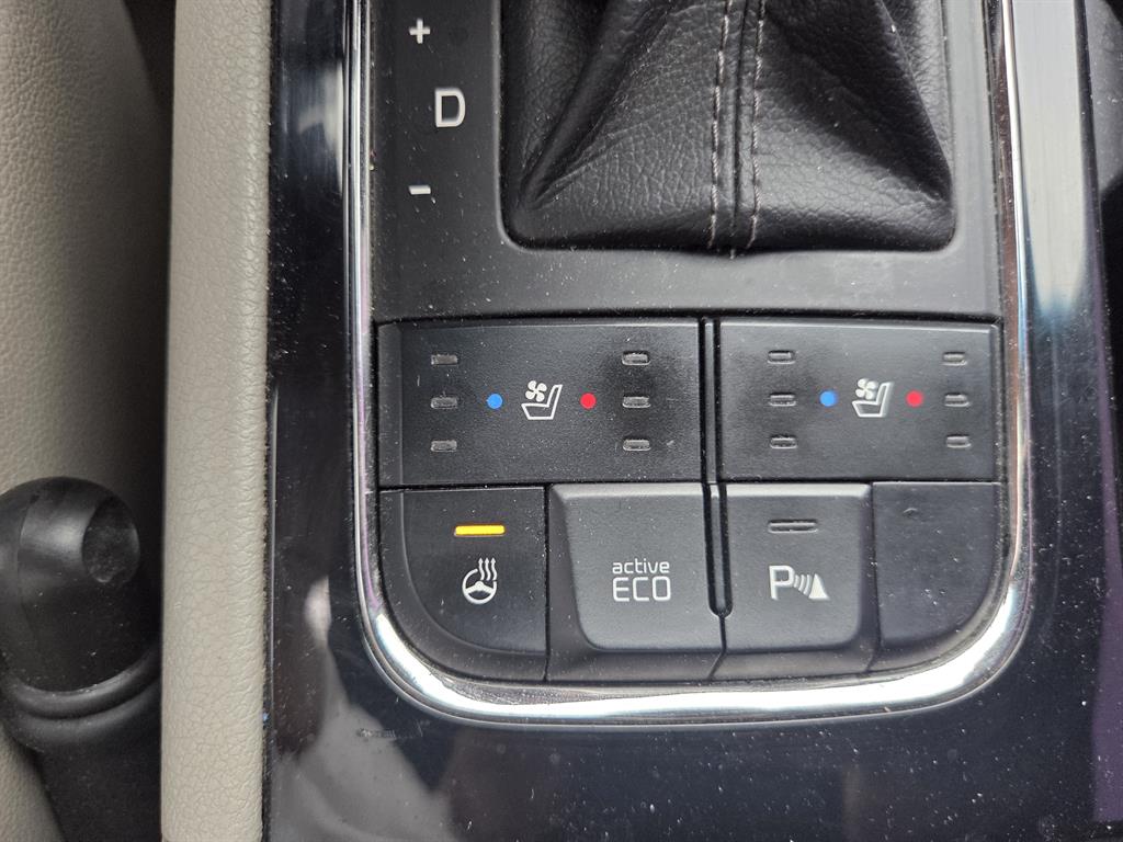 KIA Carnival - Vista 9