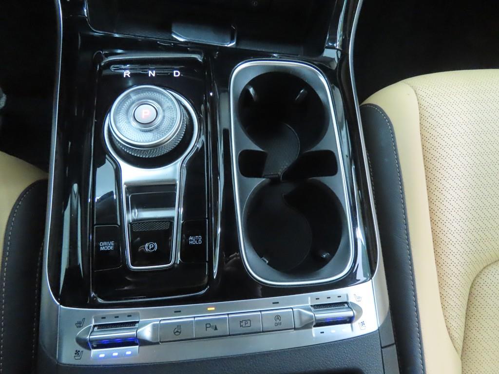 KIA Carnival - Vista 12