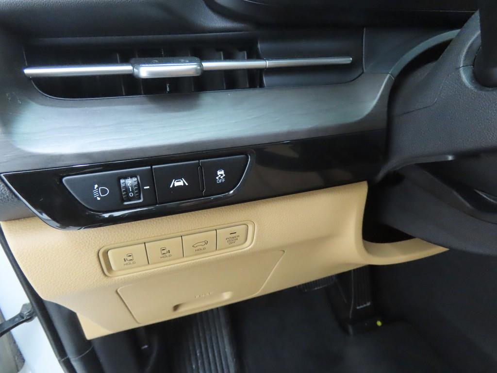 KIA Carnival - Vista 10