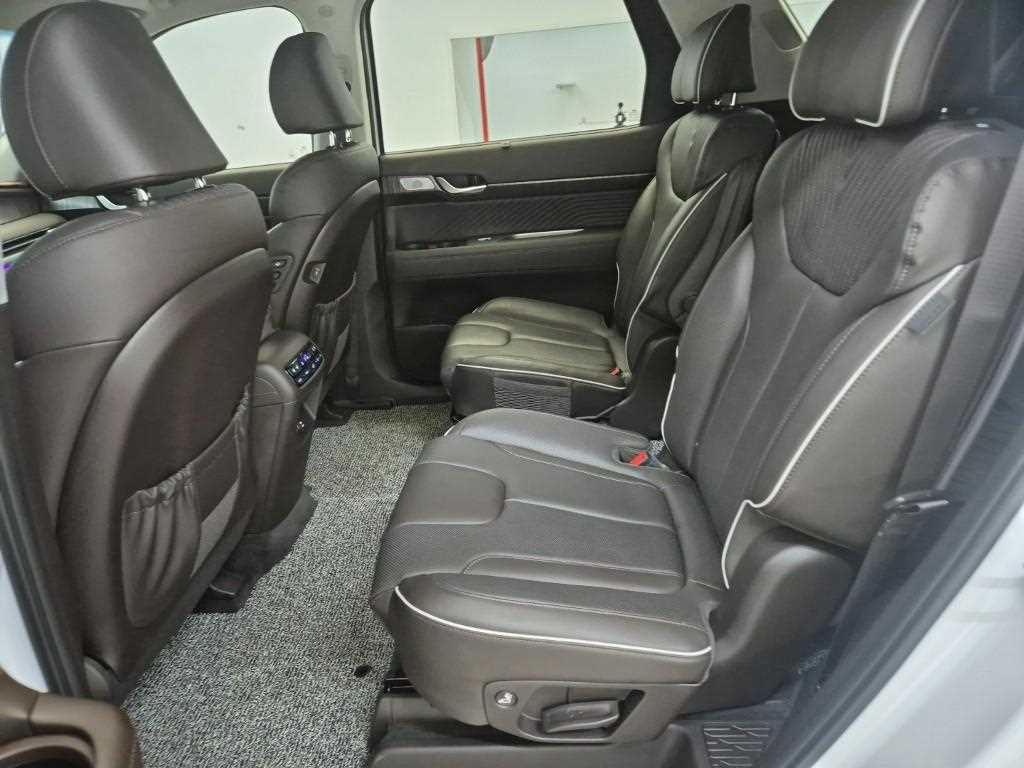 HYUNDAI Palisade - Vista 12