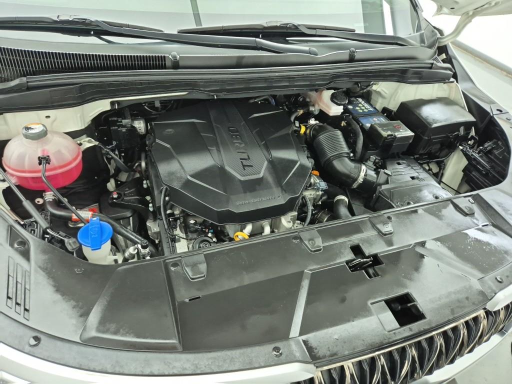 KIA Carnival - Vista 6