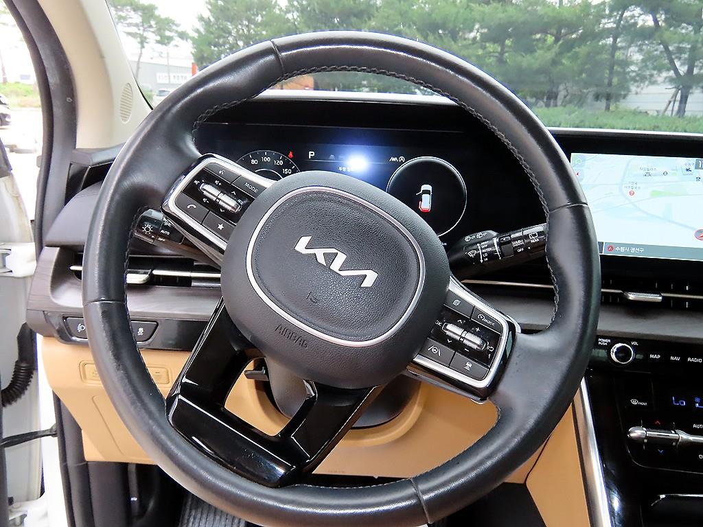 KIA Carnival - Vista 8
