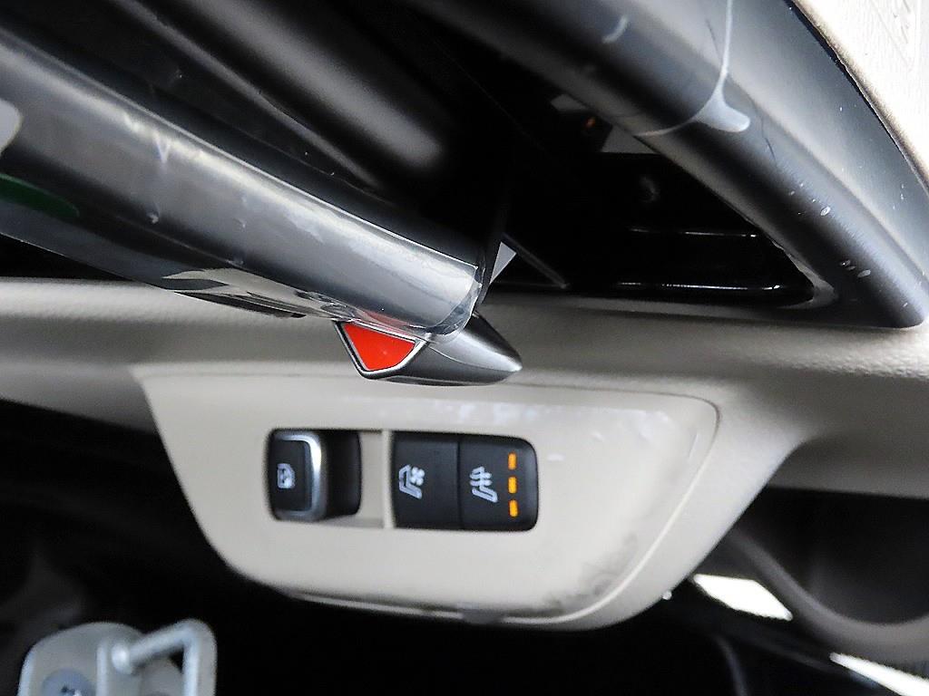 KIA Carnival - Vista 12