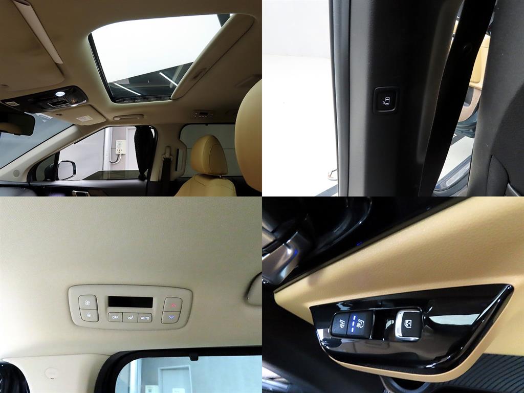 KIA Carnival - Vista 9