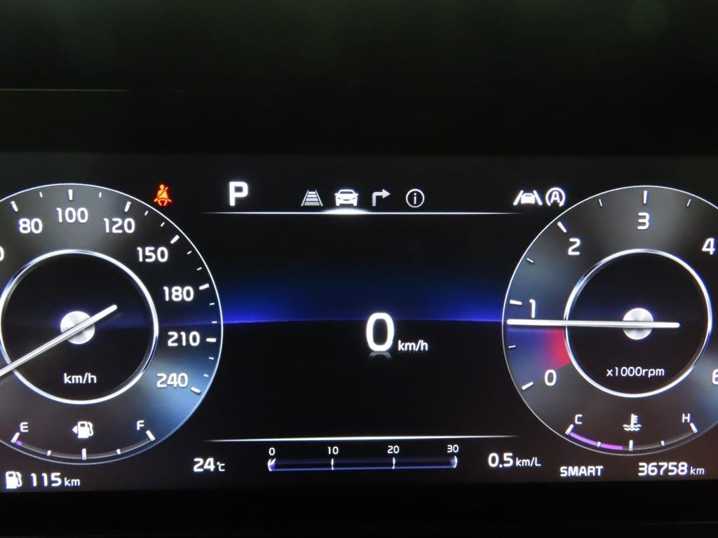 KIA Carnival - Vista 8