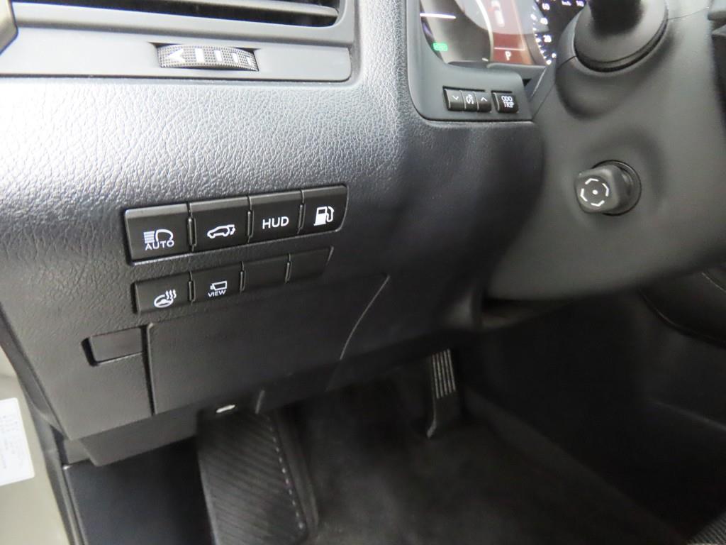 Lexus RX - Vista 11