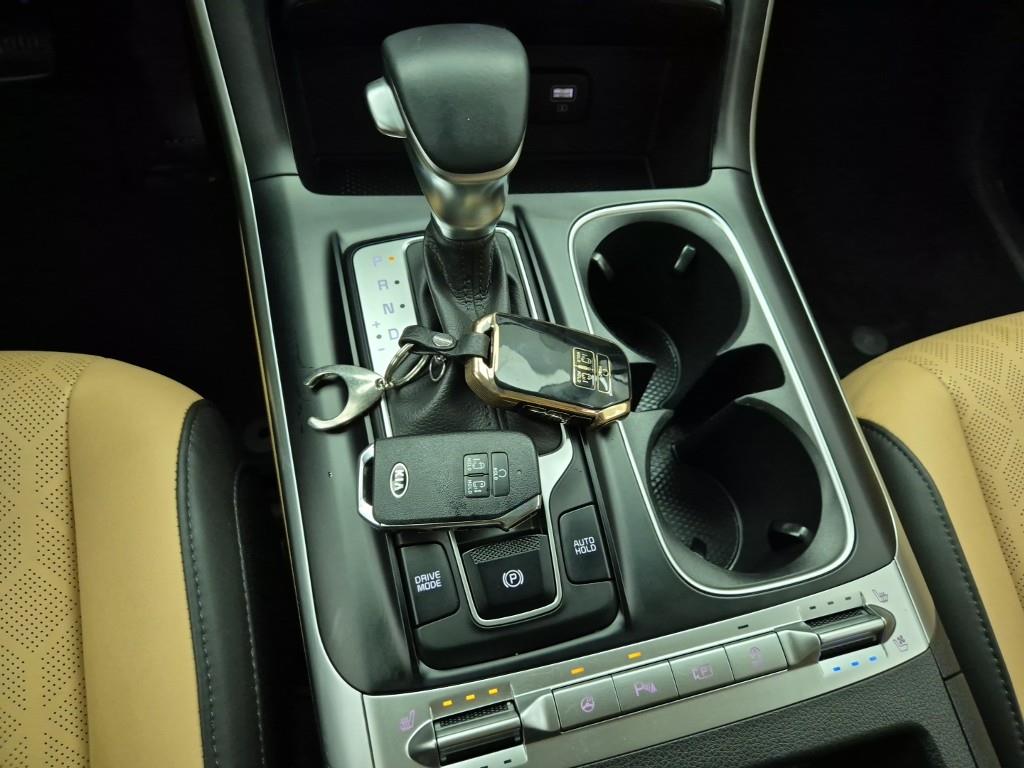 KIA Carnival - Vista 8