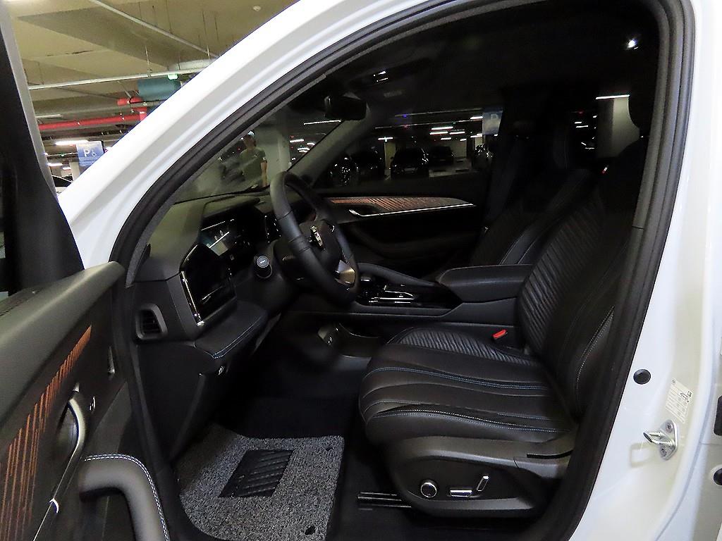 SAMSUNG Grand Koleos - Vista 6
