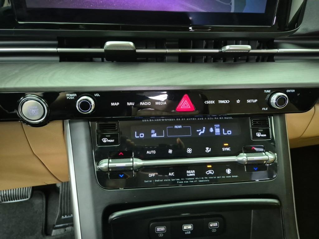 KIA Carnival - Vista 10