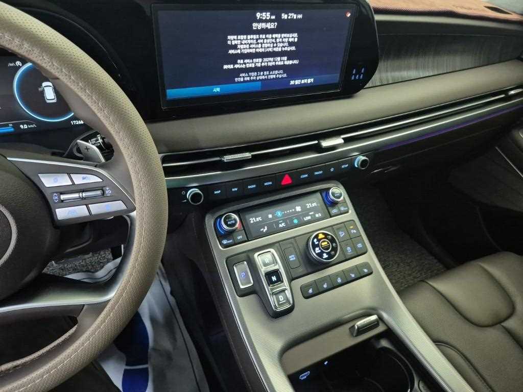 HYUNDAI Palisade - Vista 10