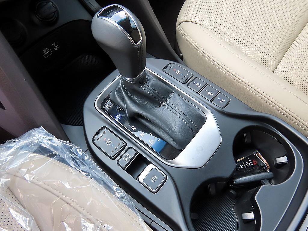 HYUNDAI Maxcruz - Vista 7