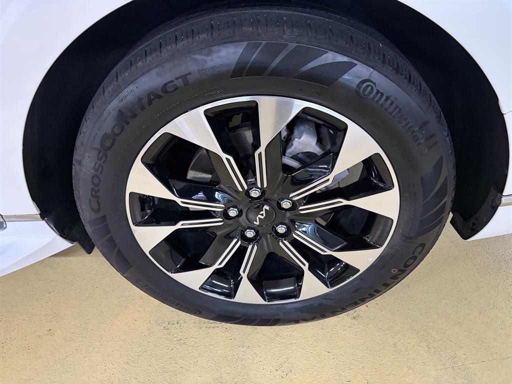 KIA Carnival - Vista 7