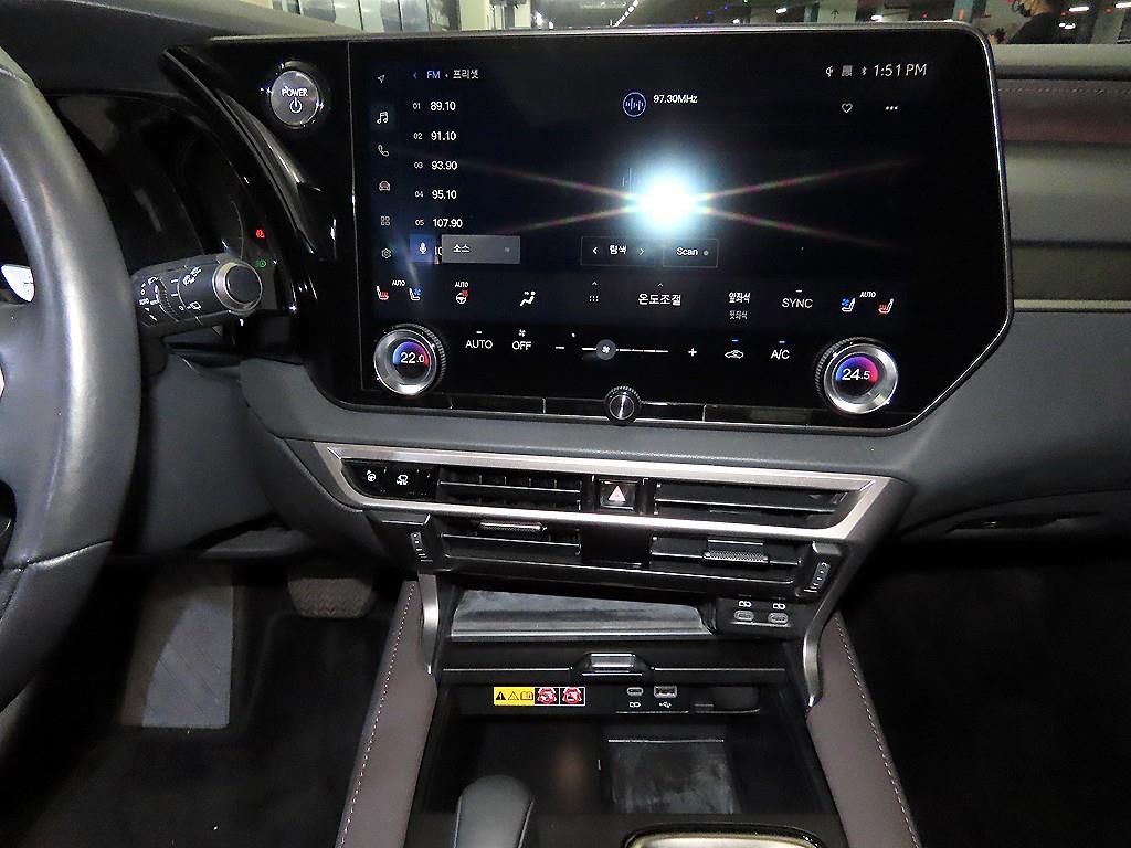 Lexus RX - Vista 11