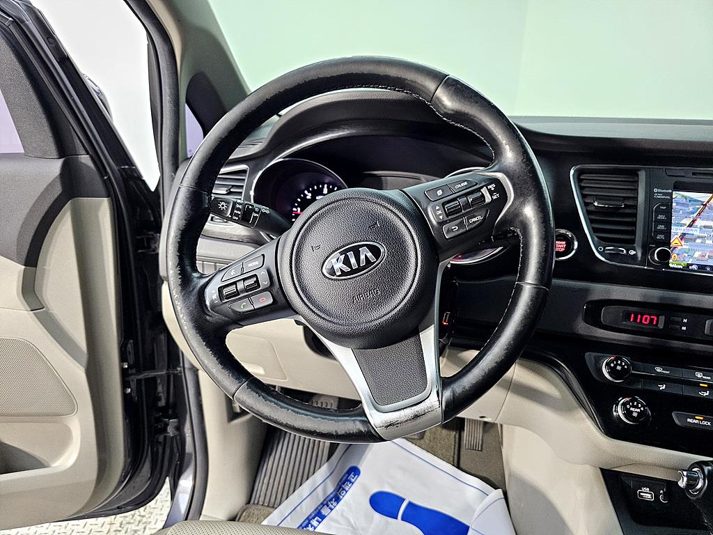KIA Carnival - Vista 12