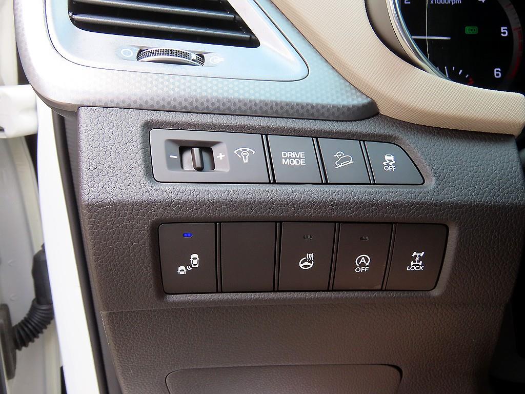 HYUNDAI Maxcruz - Vista 8