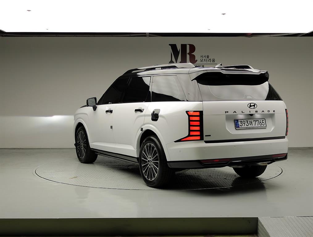 HYUNDAI Palisade - Vista 4