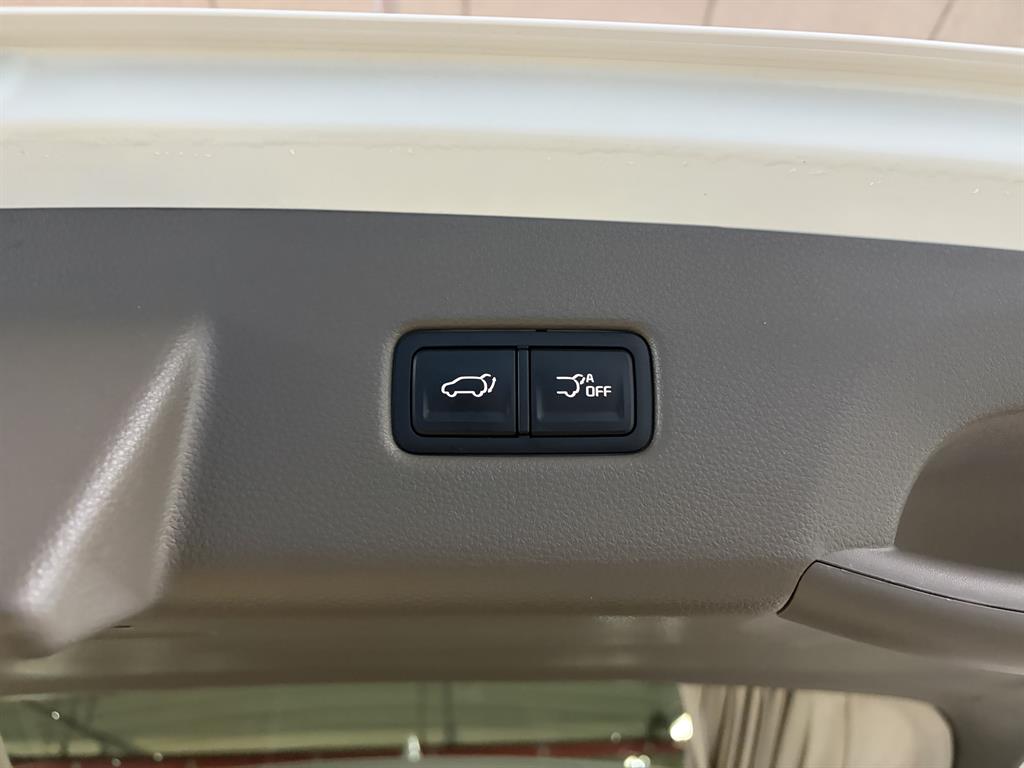 KIA Carnival - Vista 9