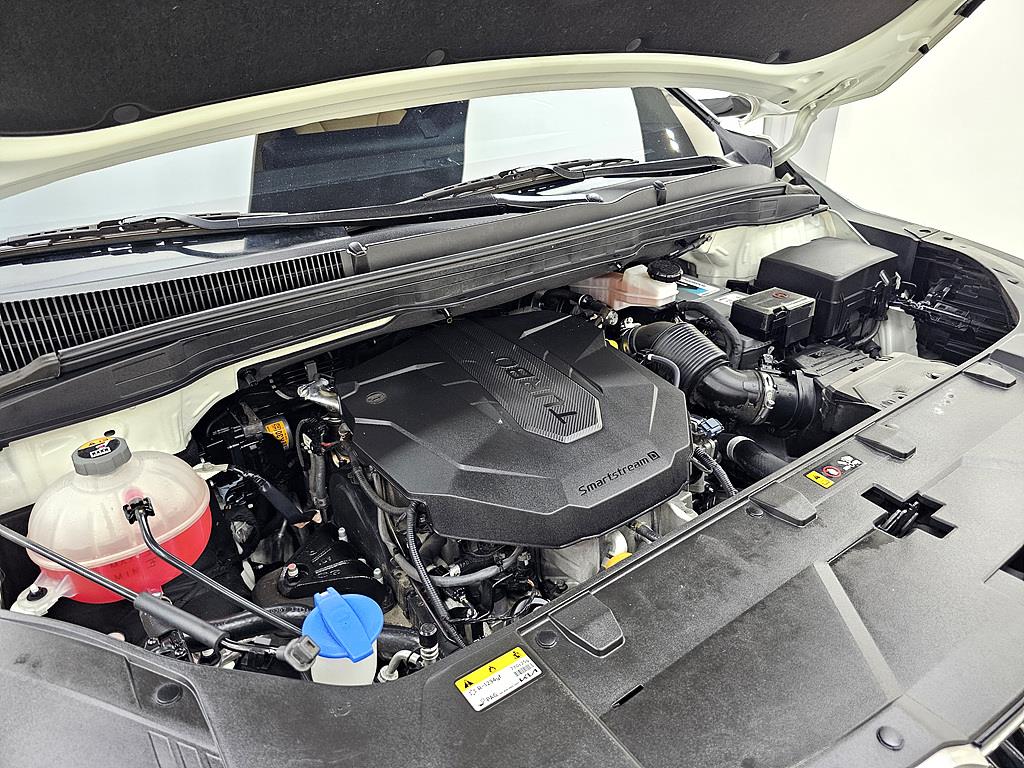 KIA Carnival - Vista 6