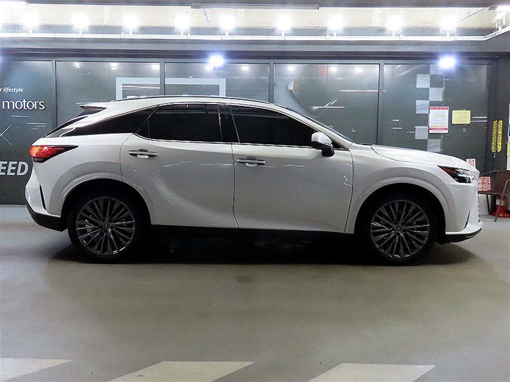 Lexus RX - Vista 3