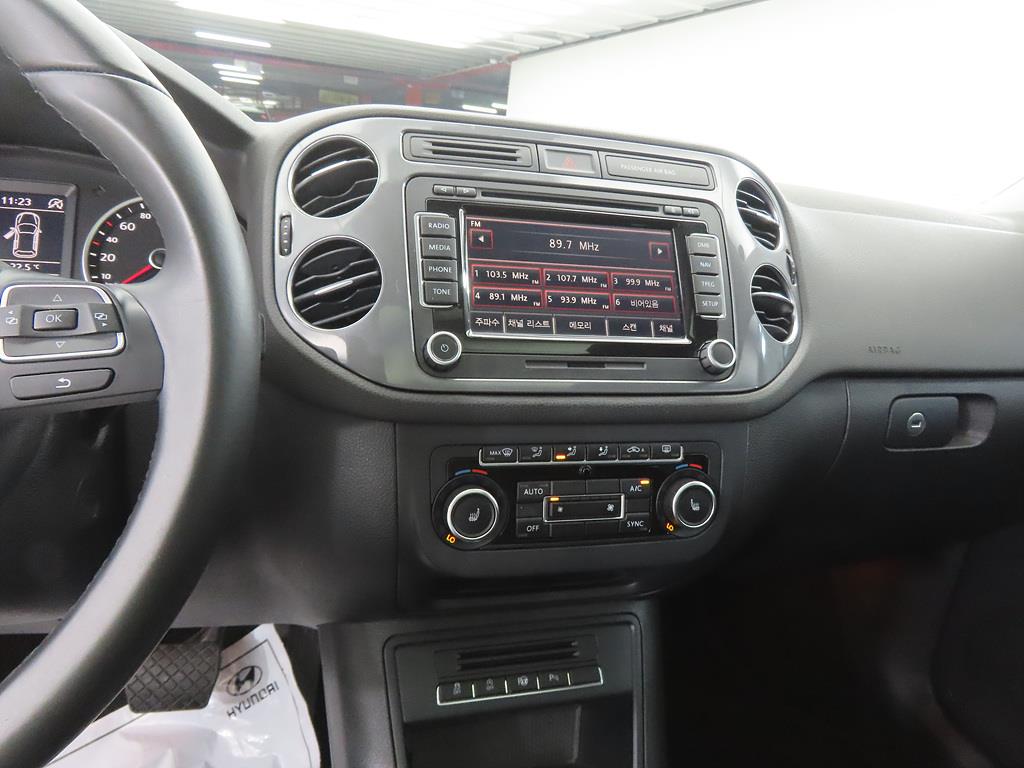 Volkswagen Tiguan - Vista 11