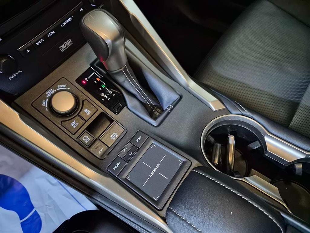 Lexus NX - Vista 11