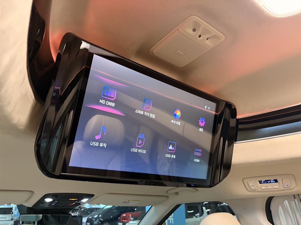 KIA Carnival - Vista 12
