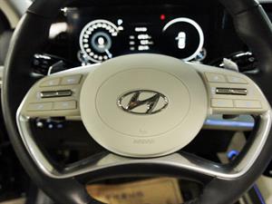 HYUNDAI Grandeur - Vista 12