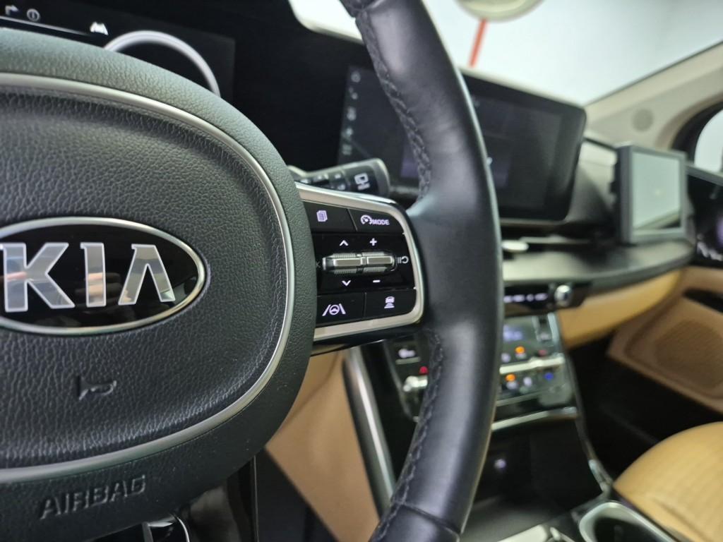 KIA Carnival - Vista 12
