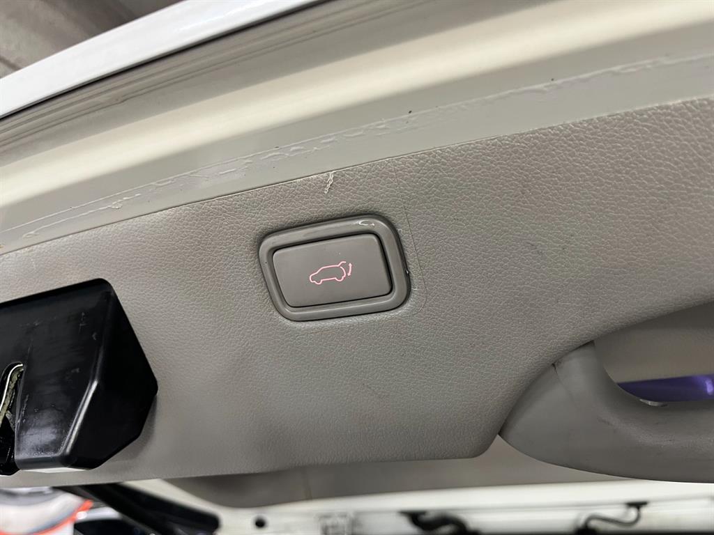 KIA Carnival - Vista 12