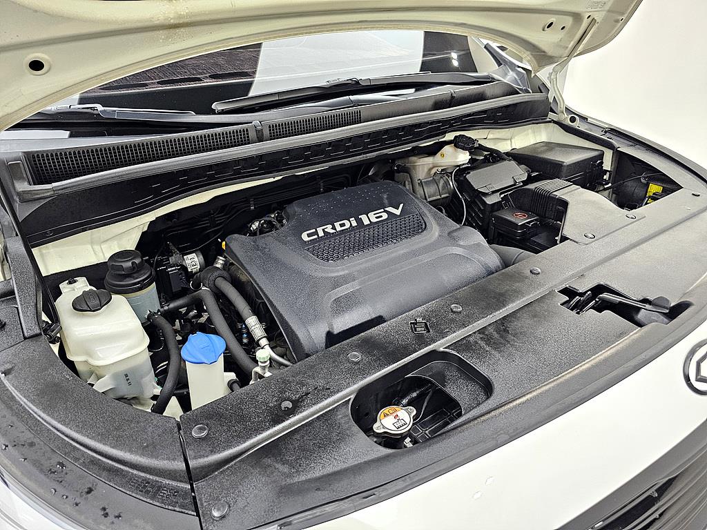 KIA Carnival - Vista 6