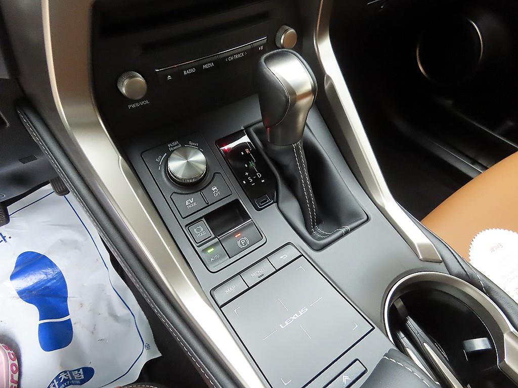 Lexus NX - Vista 10