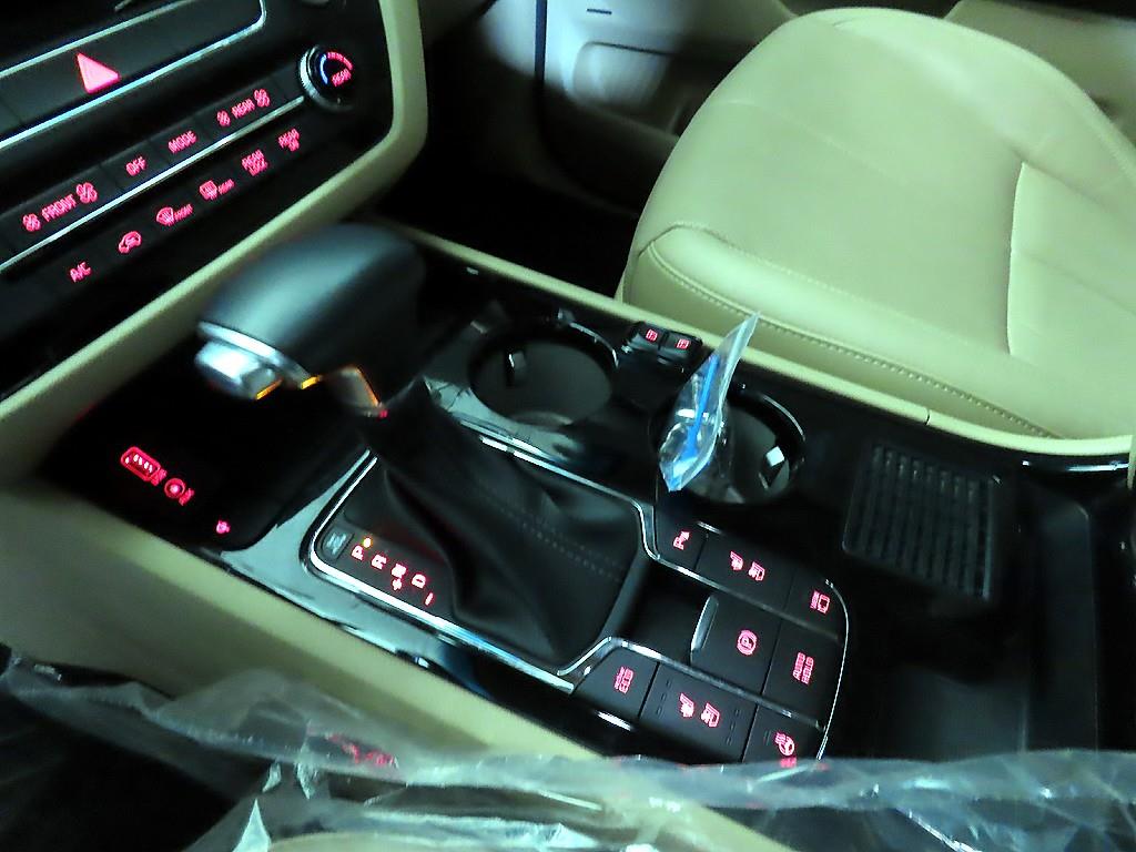 KIA Carnival - Vista 12