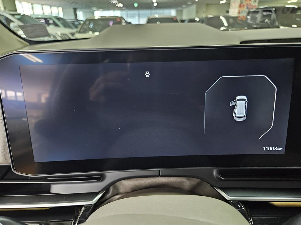 KIA Carnival - Vista 11