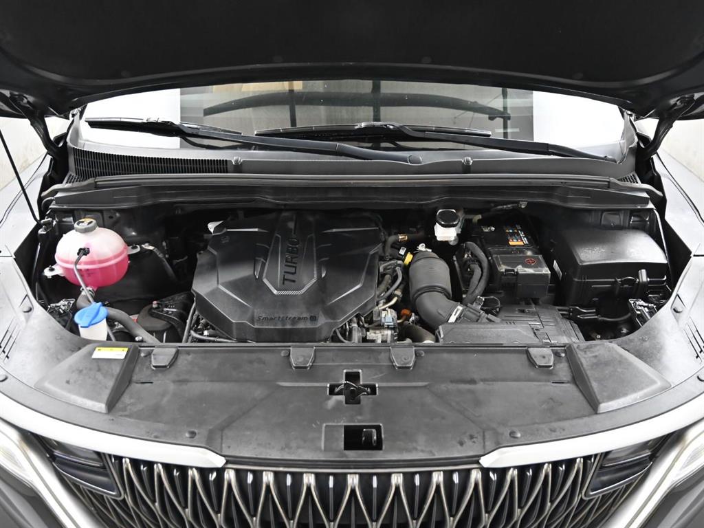 KIA Carnival - Vista 6