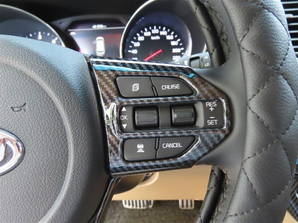 KIA Carnival 2019 Negro - Importación desde Corea - HF Imports Iquique - Foto 11