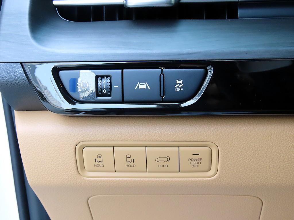 KIA Carnival - Vista 12