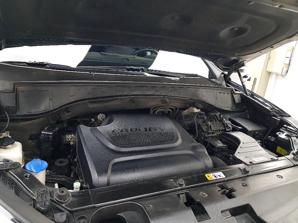 HYUNDAI Maxcruz - Vista 6
