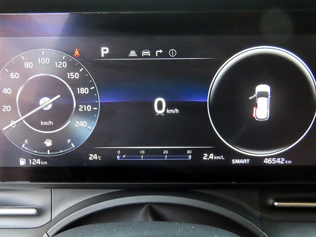 KIA Carnival - Vista 9