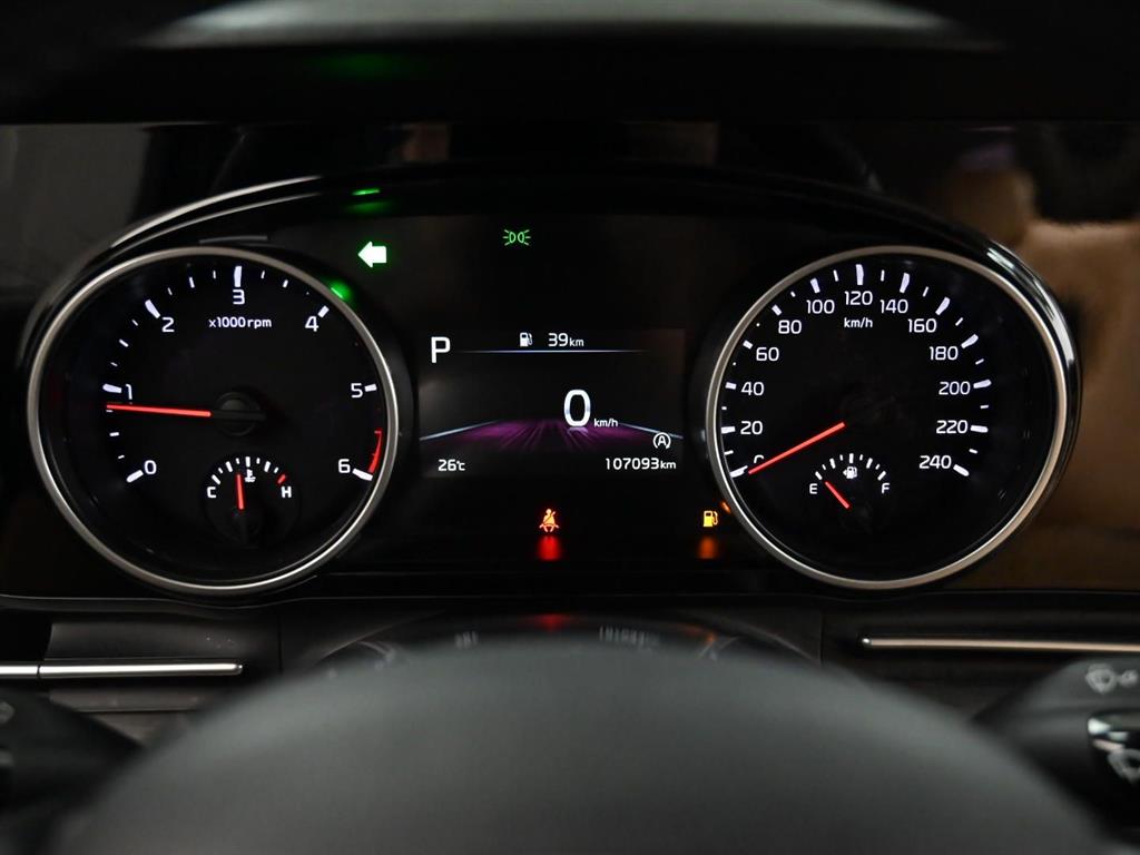 KIA Carnival - Vista 8