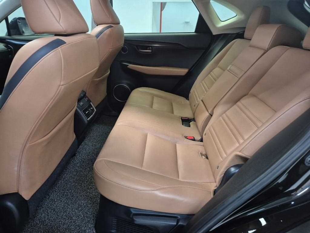 Lexus NX - Vista 12