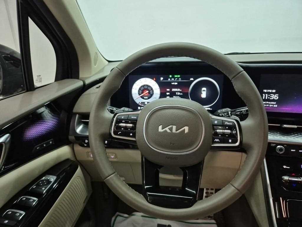 KIA Carnival - Vista 9