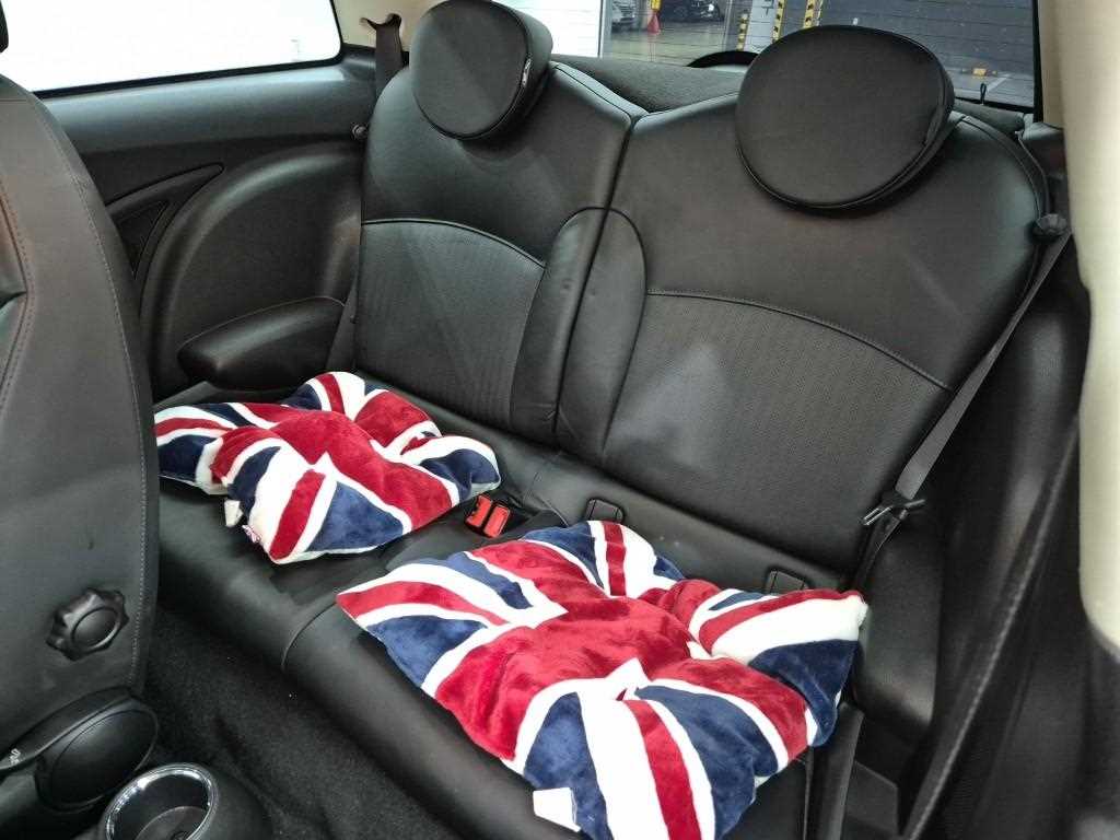 Mini Cooper - Vista 12