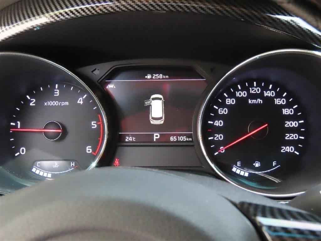 KIA Carnival - Vista 9