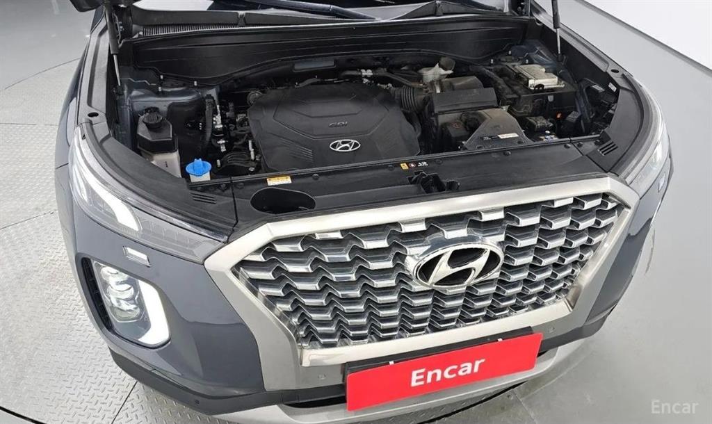 HYUNDAI Palisade - Vista 6