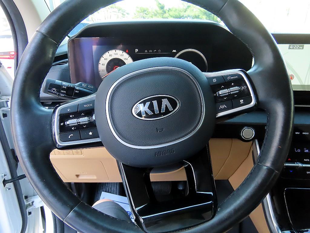 KIA Carnival - Vista 8