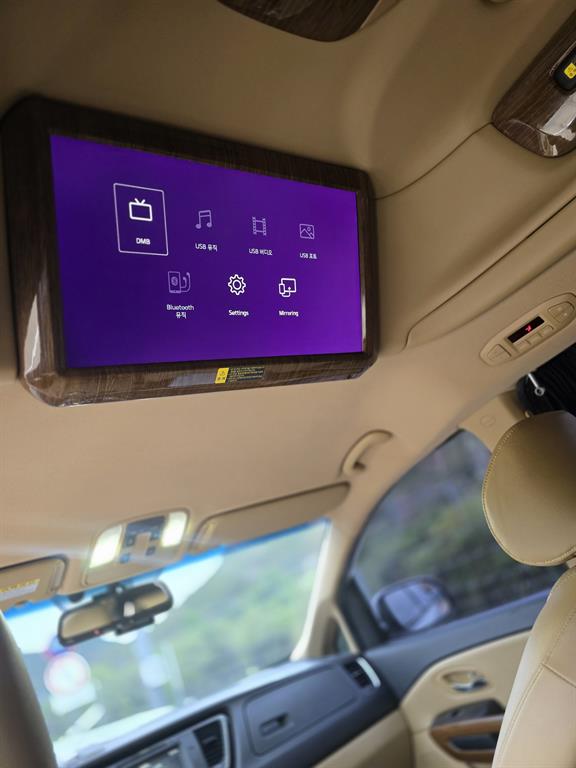 KIA Carnival - Vista 3