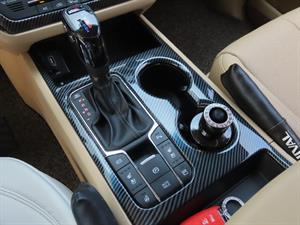 KIA Carnival - Vista 12