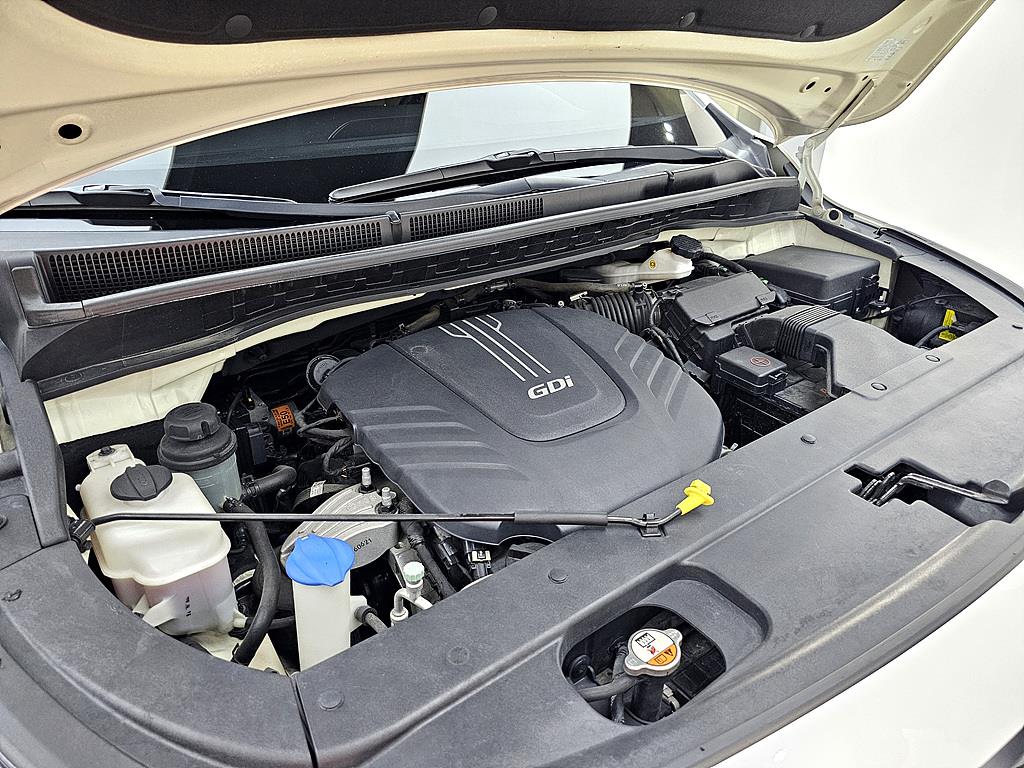 KIA Carnival - Vista 6
